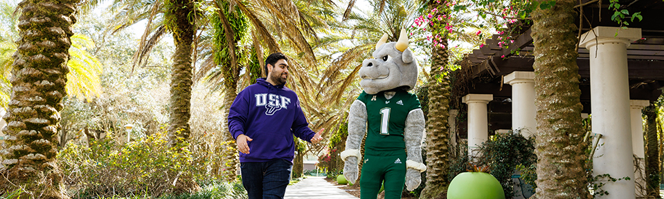 One student and Rocky D. Bull mascot walking through ֱ's Tampa campus.