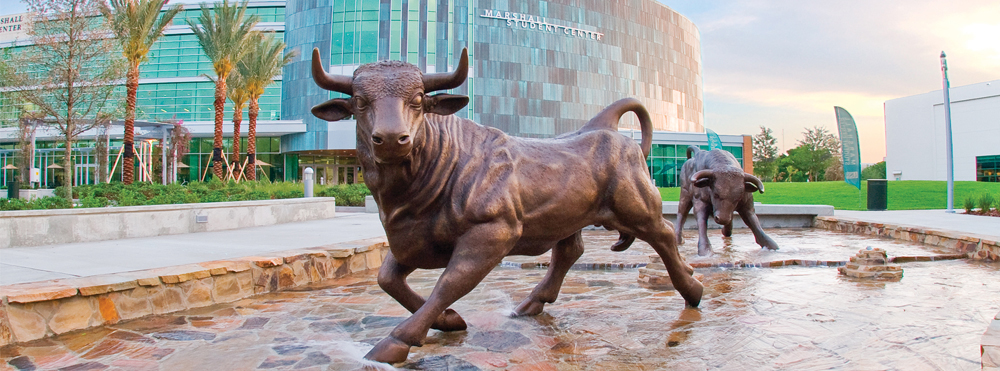 ֱ bull statue