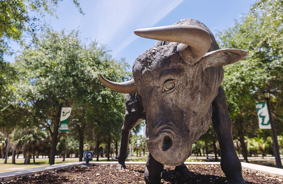 ֱ Sarasota-Manatee Bull Statue