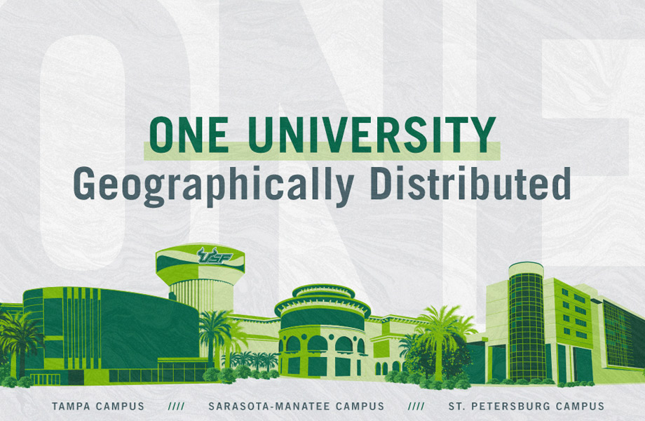 ONE ֱ graphic with landmarks from all three campuses in green. St. Petersburg, Tampa, and Sarasota-Manatee campuses shown.