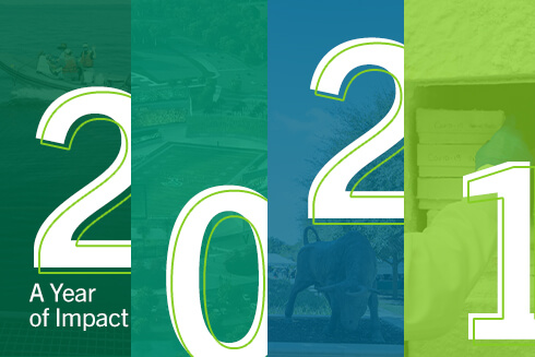 Graphic for 2021 A year of impact